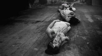 人体蜈蚣在线观看手机,惊悚悬疑，揭秘人体极限的恐怖之旅